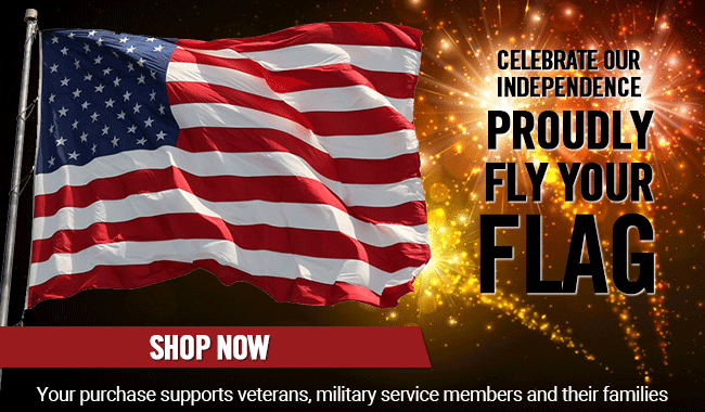 FireworksandFlagBanner
